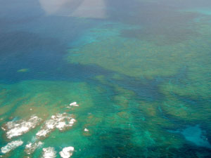 Ariel view of reef